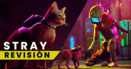 Stray